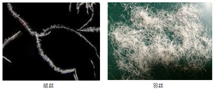 3.png 3.png